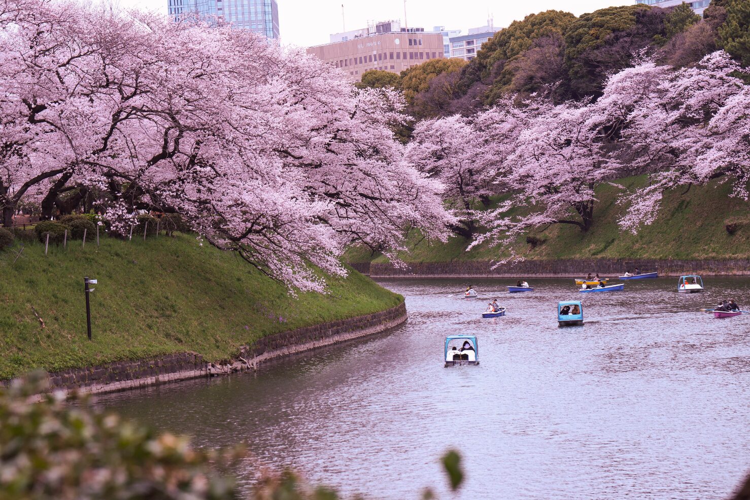 日本東北旅遊攻略｜冬季銀山溫泉、藏王樹冰、狐狸村與松島5天4夜行程